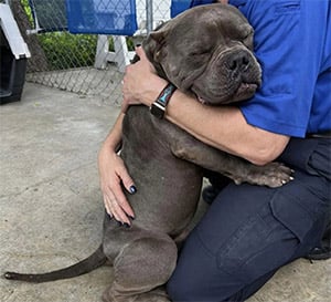 Ρооr Rescue Dоg Gives His Rescuers Τhe Βiggest Hug Ever
